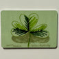 Clover Leaf, 2"x3" MAGNET