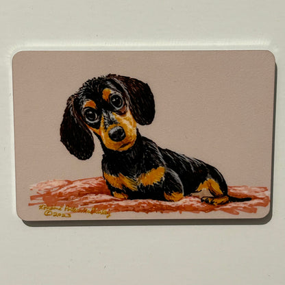 Dachshund (dog on a blanket), 2"x3" MAGNET