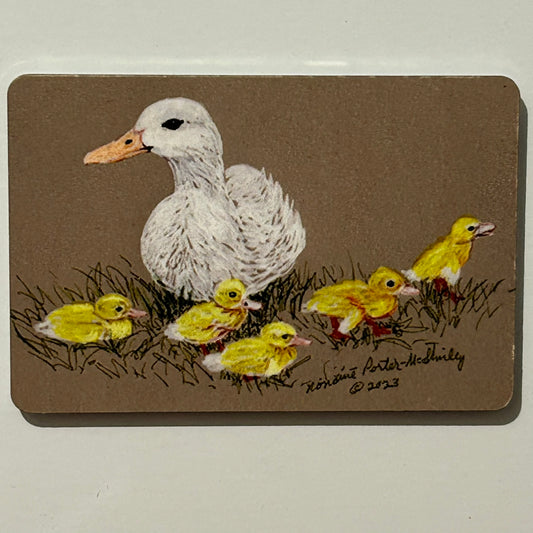 Duck Family, 2"x3" MAGNET