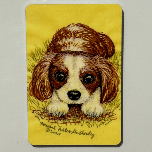 Puppy with a Longing Look, 2"x3" MAGNET