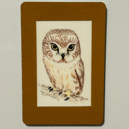 Saw-Whet Owl, 2"x3" MAGNET