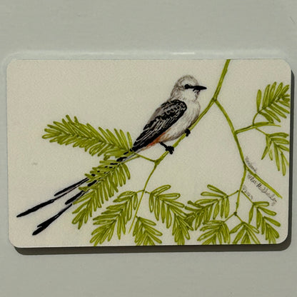 Scissor-Tailed Flycatcher on Mesquite, 2"x3" MAGNET