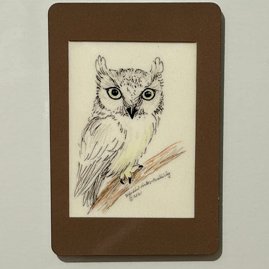 Screech Owl, 2"x3" MAGNET