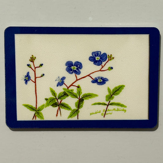 Veronica, or Spiked Speedwell flowers, 2"x3" MAGNET