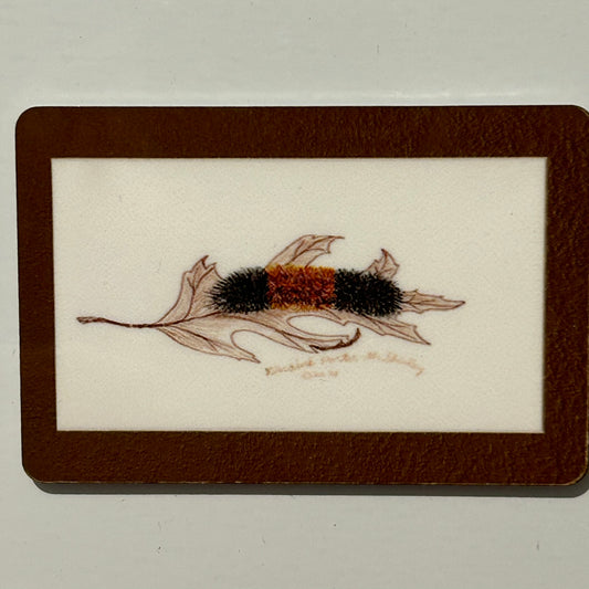 Wooly Worm (Wooly Bear), 2"x3" MAGNET