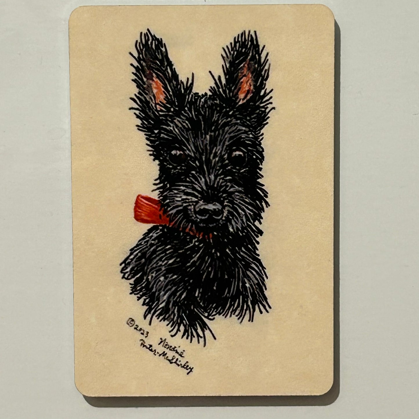 Young Scottie Dog (Scottish Terrier), 2"x3" MAGNET