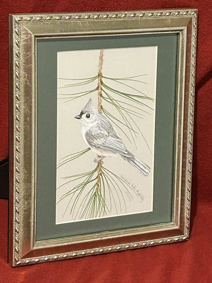 Tufted Titmouse on a Pine Branch, ORIGINAL, Framed